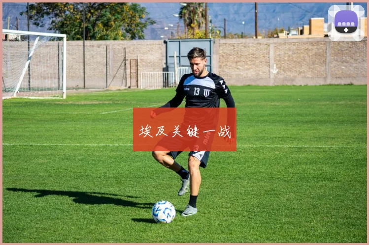 埃及关键一战