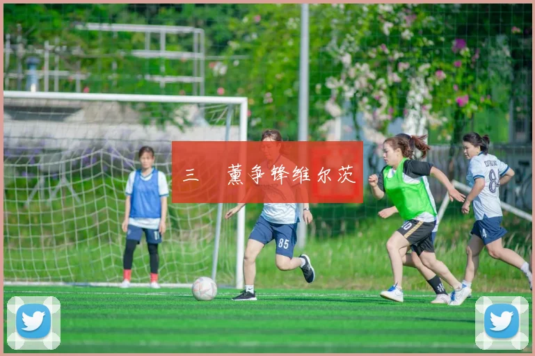 三笘薰争锋维尔茨