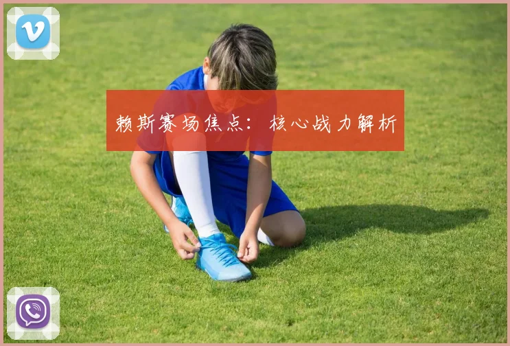 赖斯赛场焦点：核心战力解析