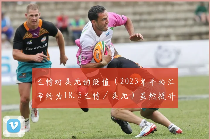 兰特对美元的贬值（2023年平均汇率约为18.5兰特／美元）虽然提升了出口竞争力