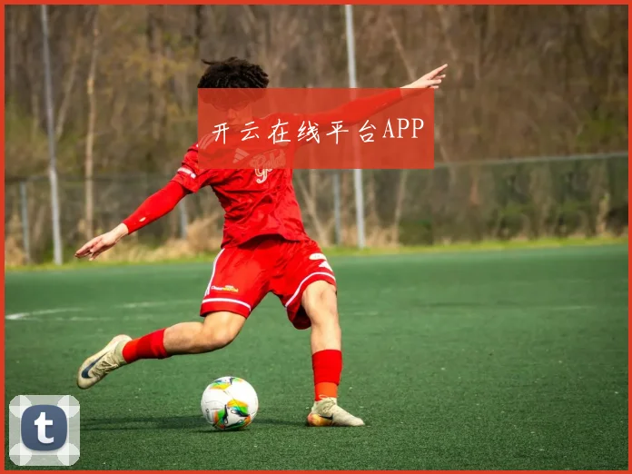 开云在线平台APP