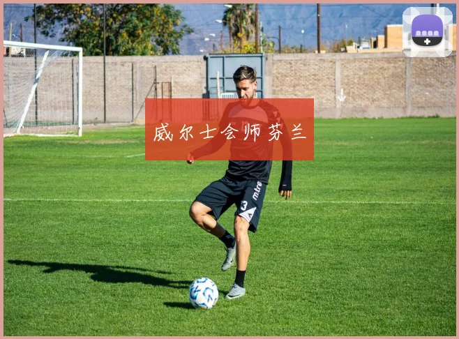 威尔士会师芬兰