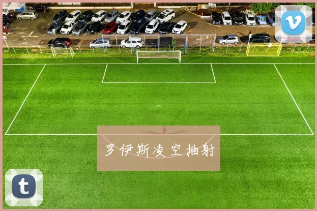 罗伊斯凌空抽射