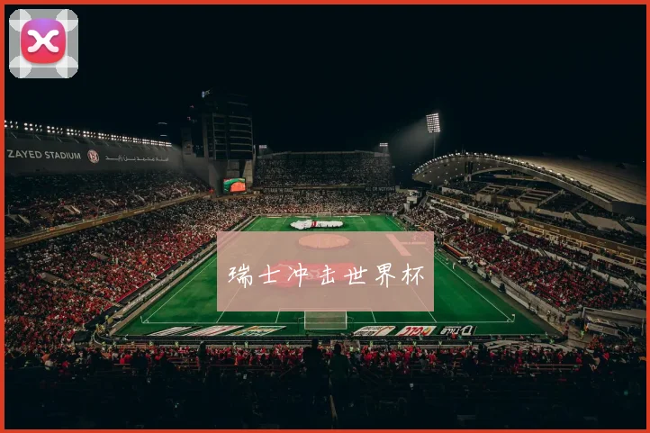 瑞士冲击世界杯