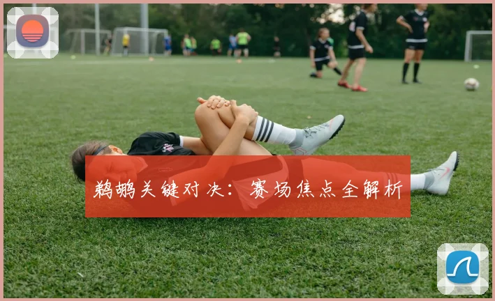 鹈鹕关键对决：赛场焦点全解析