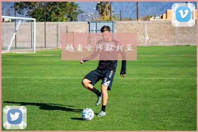 越南会师叙利亚