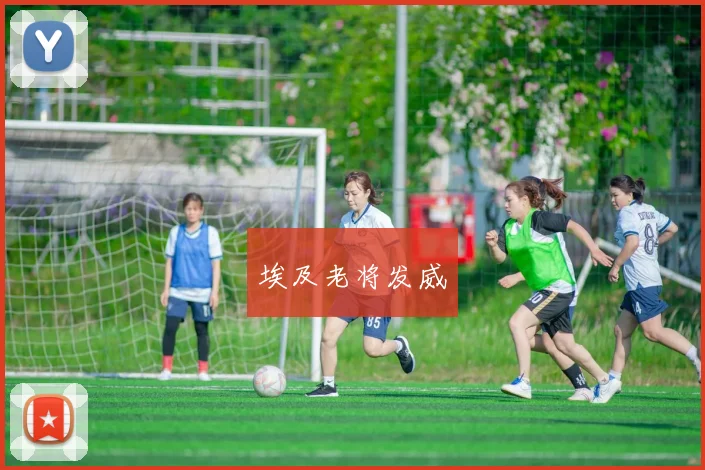 埃及老将发威