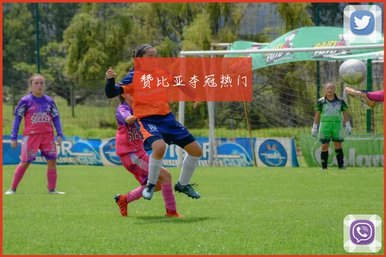 赞比亚夺冠热门