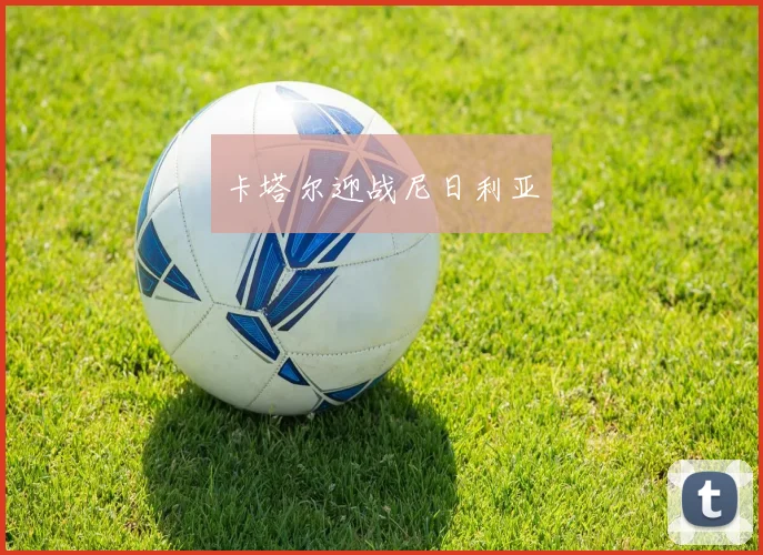 卡塔尔迎战尼日利亚