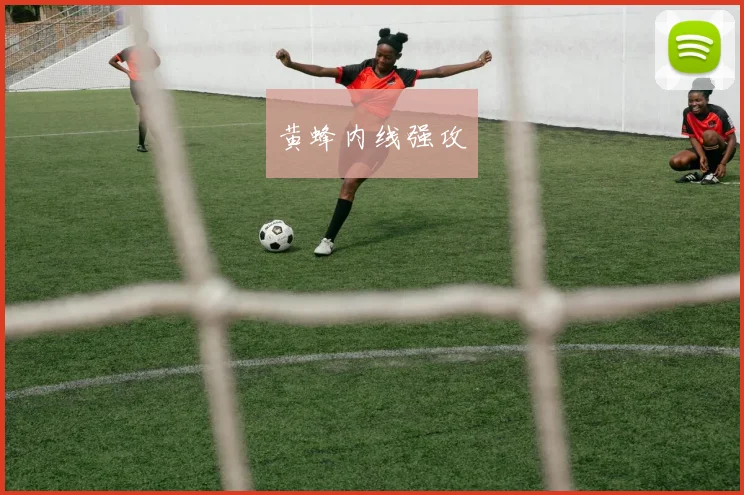 黄蜂内线强攻