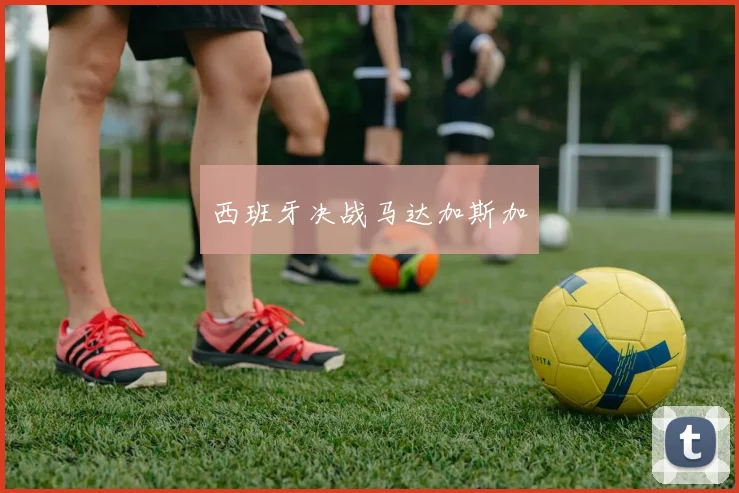 西班牙决战马达加斯加