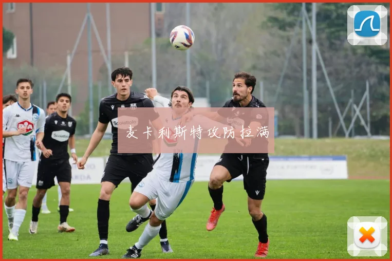 麦卡利斯特攻防拉满