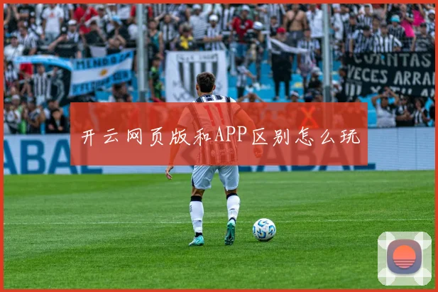 开云网页版和APP区别怎么玩