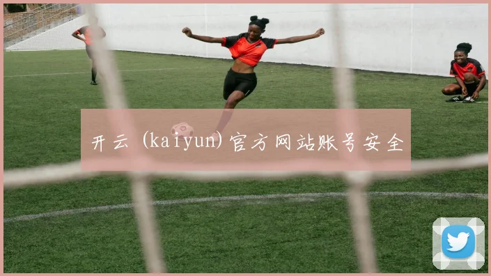 开云 (kaiyun)官方网站账号安全