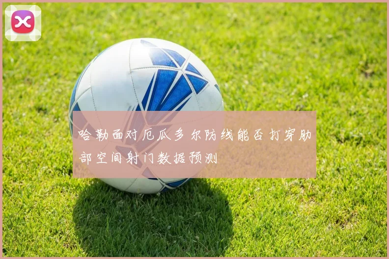 哈勒面对厄瓜多尔防线能否打穿肋部空间射门数据预测