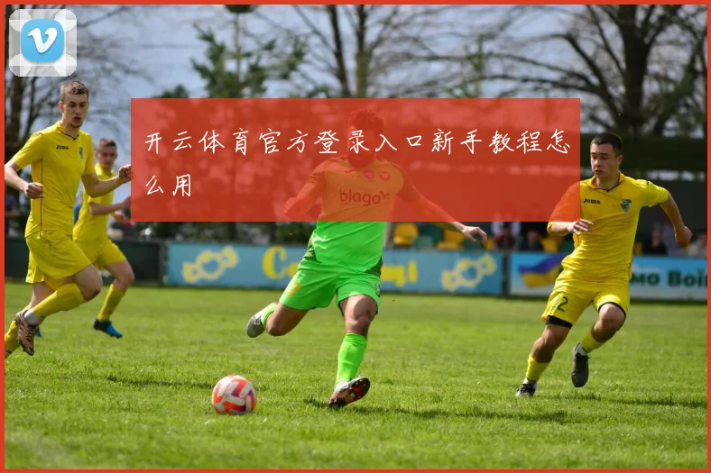 开云体育官方登录入口新手教程怎么用